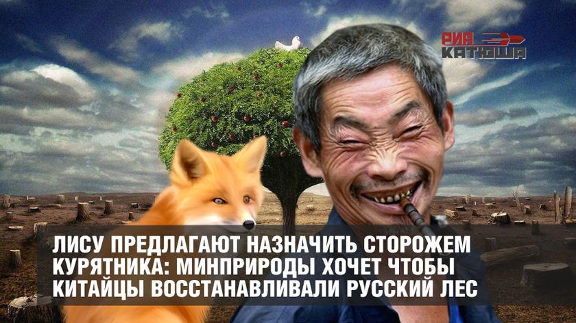 Лису предлагают назначить сторожем курятника: Минприроды хочет чтобы китайцы восстанавливали Русский лес