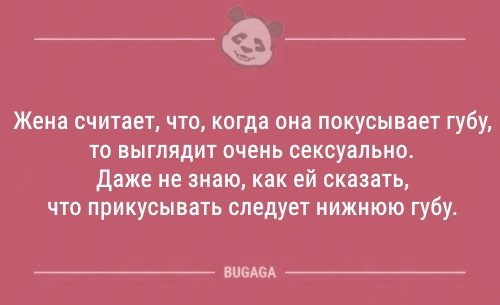 Анекдоты для предпятничного настроения (12 шт)