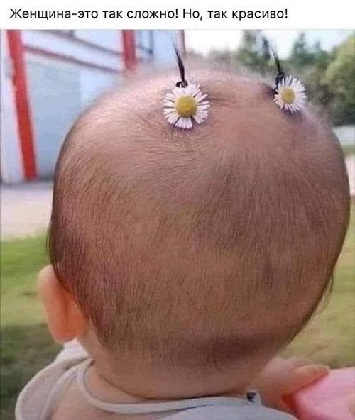 Юмор, который сделает эту зиму ярче