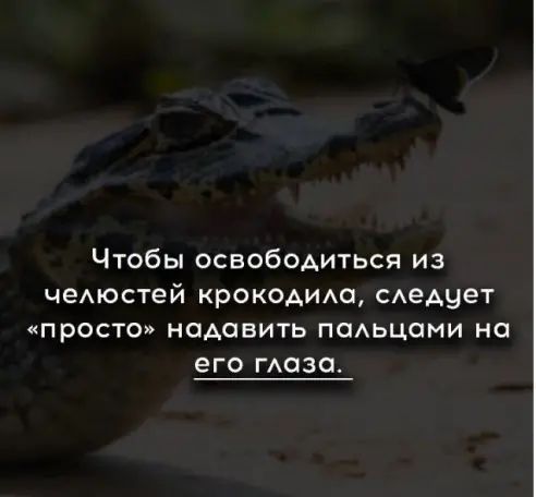 Анекдоты и шуточки для чудесного настроения! Анекдоты и шуточки для чудесного настроения!