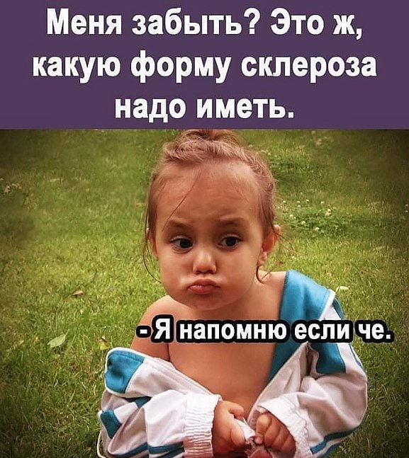 Смешные и интересные шутки, цитаты и фразы Смешные и интересные шутки, цитаты и фразы