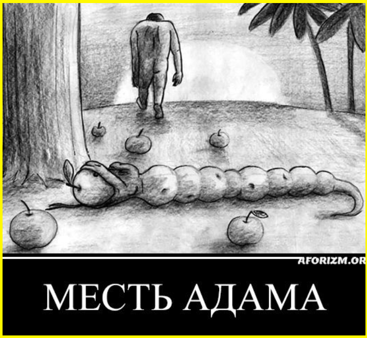 Юморные картинки на ночь глядя 