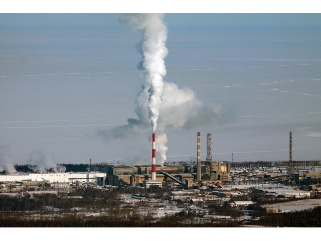 Гербовая печать и орехи: почему вредные привычки Госдумы сходят ей с рук россия