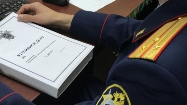 Следователи возбудили уголовное дело после нападения собаки на ребенка в Жуковском