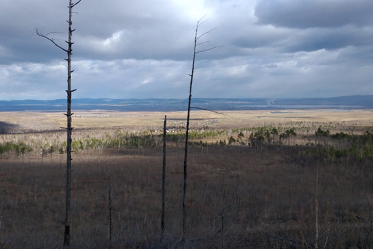 Место захоронения Имана Фарзалиева
