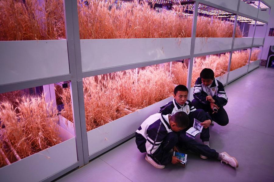 Китай построил марсианскую базу в пустыне Гоби Китай построил марсианскую базу в пустыне Гоби «mars base 1»,китай,космос,Марс