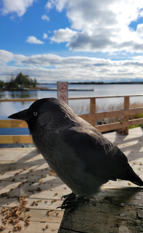 Василий Устюжанин: Безымянные божьи плотники Василий Устюжанин: Безымянные божьи плотники Общество