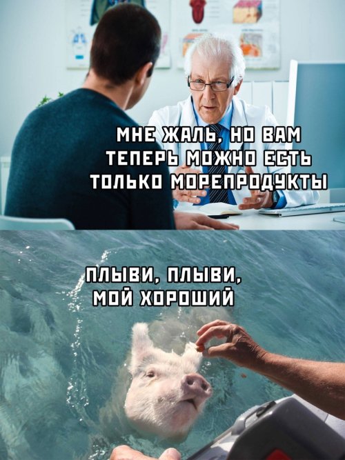 Фотоподборка понедельника 25 марта  