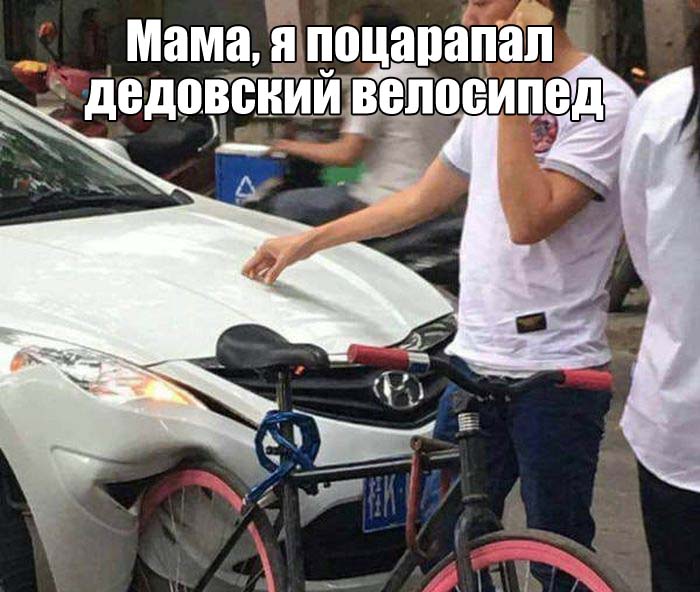 Подборка картинок. Дневной выпуск (56 фото)