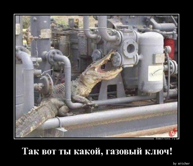 Демотиваторов пост: «Виды противоугонных систем…» 