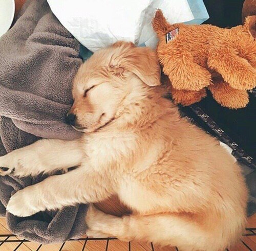 Позитивные картинки и веселые фото из сети Позитивные картинки и веселые фото из сети