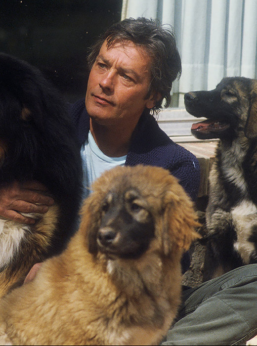 Маникюр для похорон и миллионы собакам: самые необычные завещания звезд другое