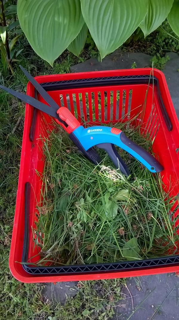 Как я их хотела!!! Ножницы от Gardena Как я их хотела!!! Ножницы от Gardena