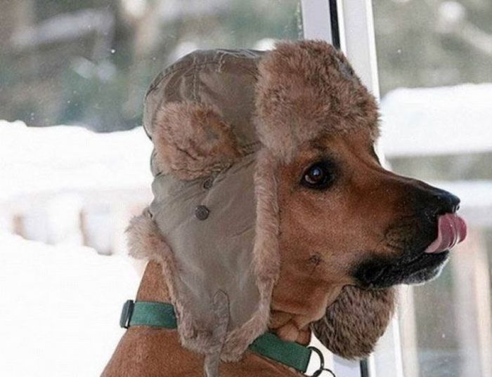 Очередная доза хорошего настроения и позитива Очередная доза хорошего настроения и позитива