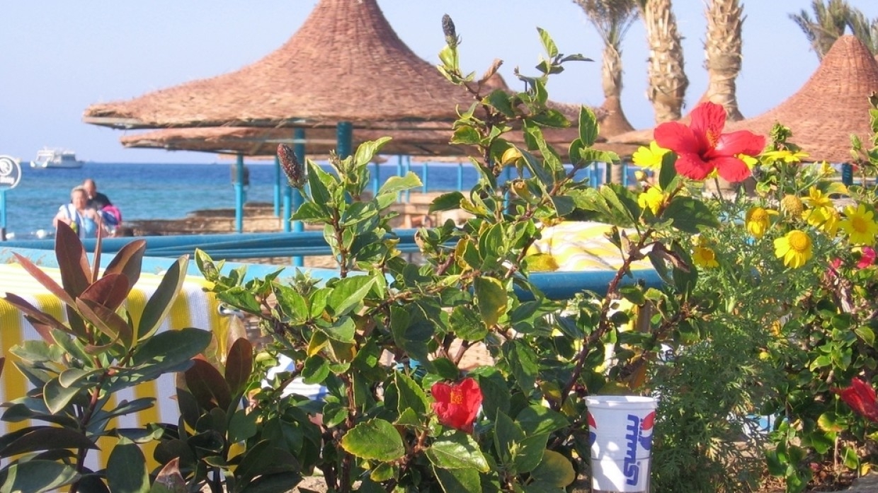 АТОР попросила отменить квоты на туристические рейсы в Египет