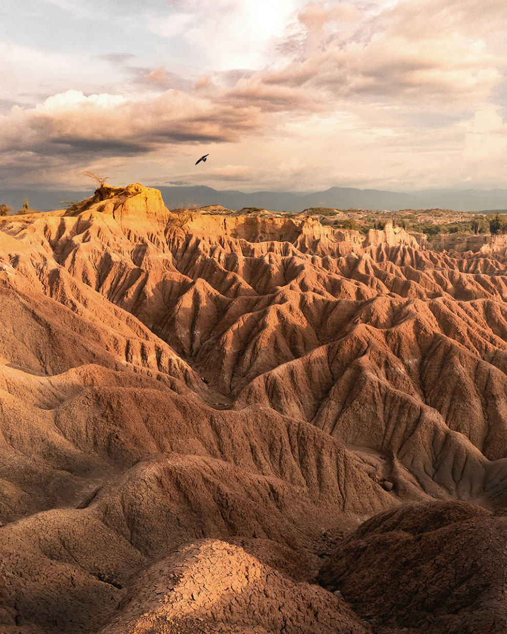 Фотоконкурс Landscape2020: лучшие работы Исландия, Индонезия, Лучшие, конкурса, Италия, Доломиты, Вьетнам, perkspectivephotography, artempikalov, ШриЛанка, Сигирия, oliviervandeginste, Бельгия, Зебрюгге, Пэдстоу, Корнуолл, Испания, victormsf, and1402, Норвегия