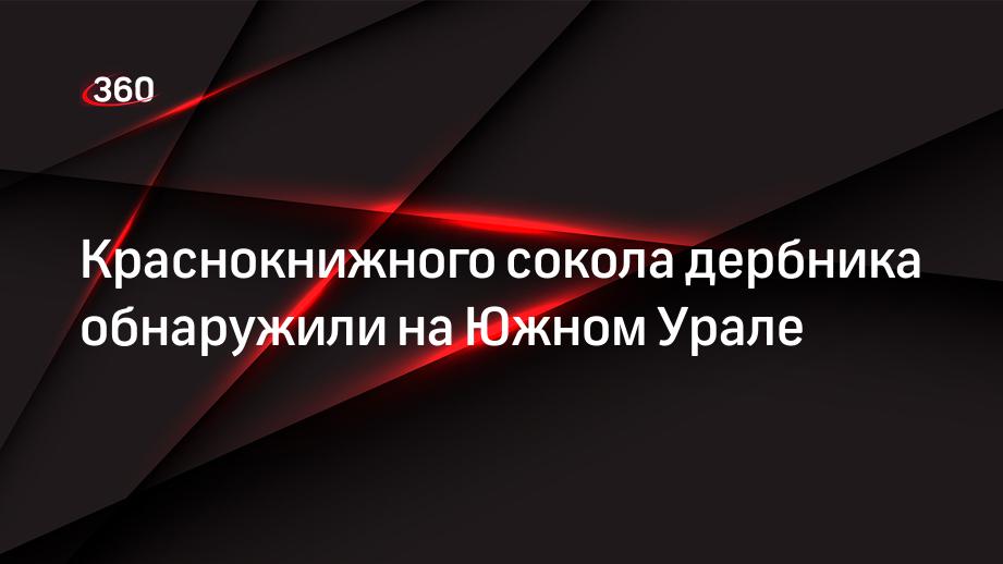 Краснокнижного сокола дербника обнаружили на Южном Урале