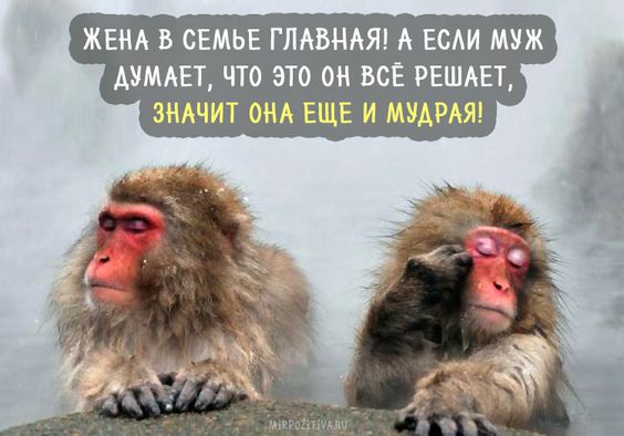 Идет мужик по берегу озера, видит: какой-то парень черпает рукой воду из озера и пьет... весёлые