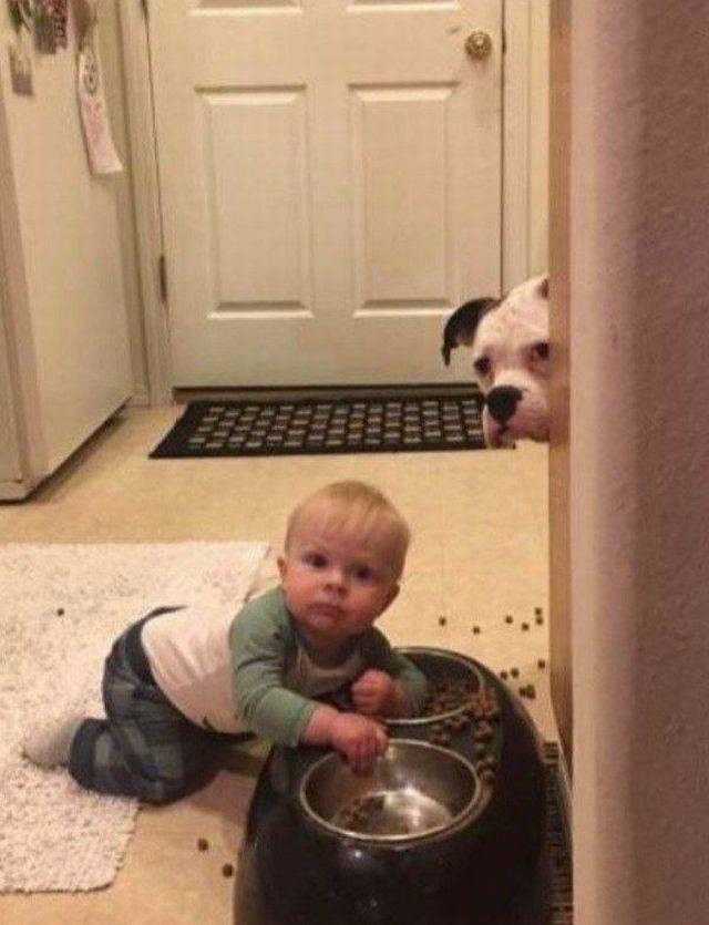 Субботний Фотопозитив 