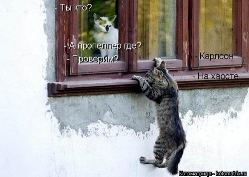 Самые смешные котоматрицы за прошедшую неделю Самые смешные котоматрицы за прошедшую неделю