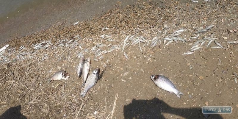 ВОЕННОЕ ОСВОЕНИЕ ОДЕССЫ ИДЁТ ПОЛНЫМ ХОДОМ ВОЕННОЕ ОСВОЕНИЕ ОДЕССЫ ИДЁТ ПОЛНЫМ ХОДОМ украина