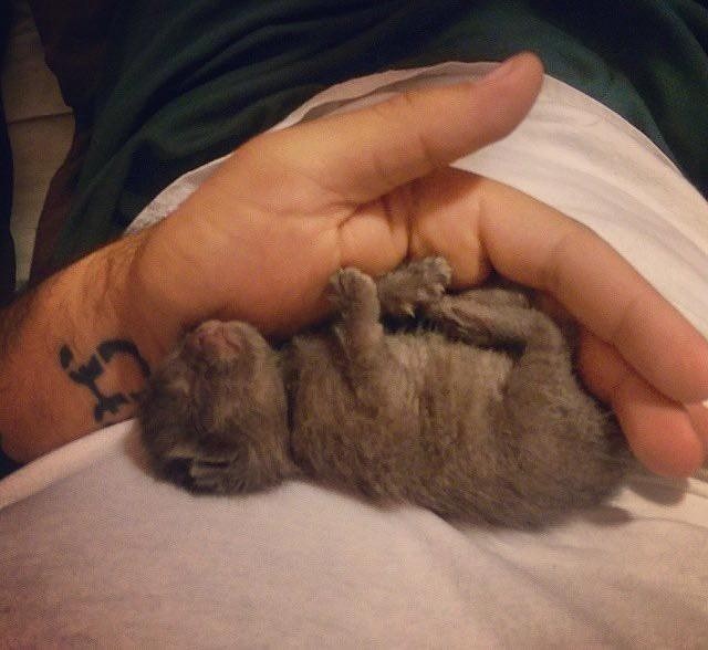 Он снял её с крыши дома, где она лежала под проливным дождем. Только посмотрите, какая красотка выросла!