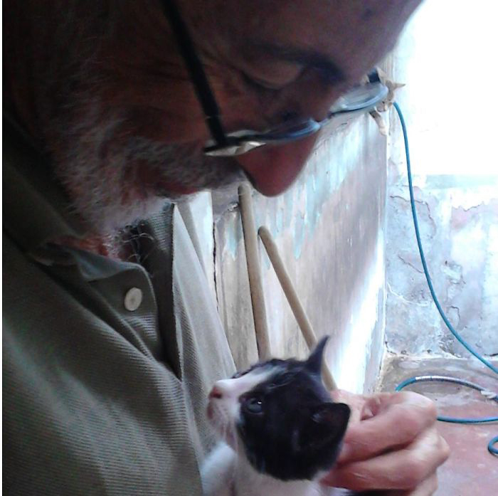 Человечность в трудное время: Семья заботится о 50 бездомных кошках Человечность в трудное время: Семья заботится о 50 бездомных кошках кошки и коты,Хуан Рейносо, Венесуэла, приют