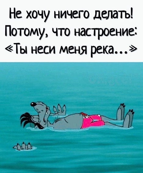 Смешные и интересные шутки, цитаты и фразы Смешные и интересные шутки, цитаты и фразы