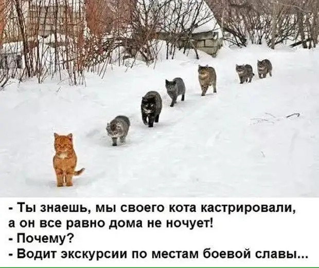 - Что общего у таксиста и спортивного комментатора? - Оба сидят в кабине и кроют всех вокруг 