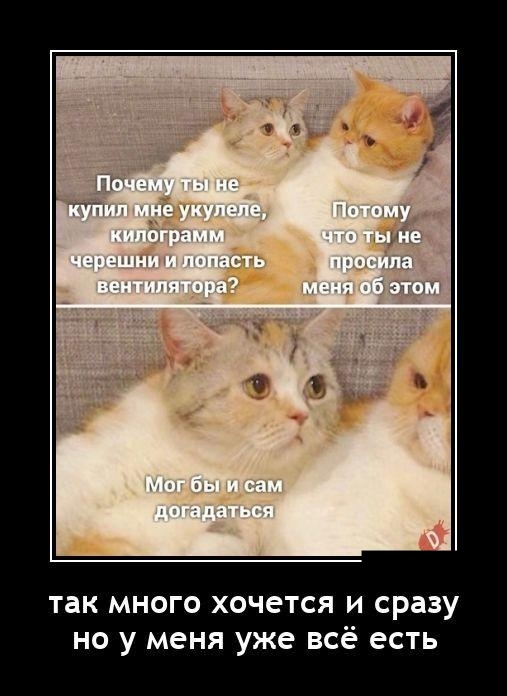 Новые демотиваторы. Черный юмор и издёвка со злорадством Новые демотиваторы. Черный юмор и издёвка со злорадством