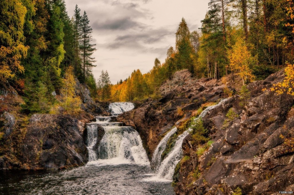 Невероятно изящные и спокойные природные пейзажи Карелии природа,путешествия,Россия