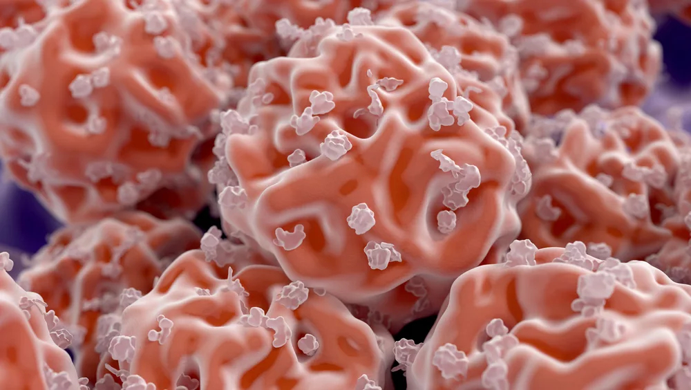 В организме человека найдены новые клетки, которые могут вырасти в любой орган