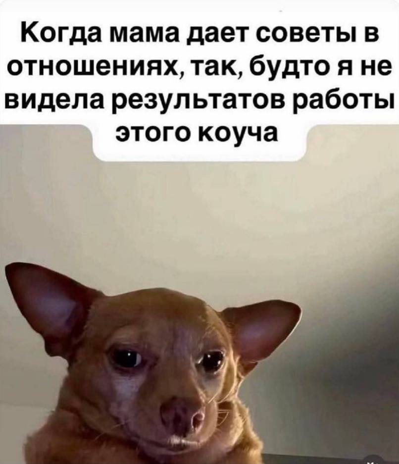 Купил самоклеящиеся обои. Сижу. Жду 