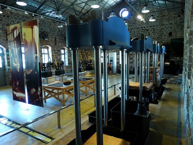 музей оливкового масла