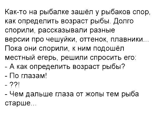 В принципе, окружающие делятся на две категории… Юмор