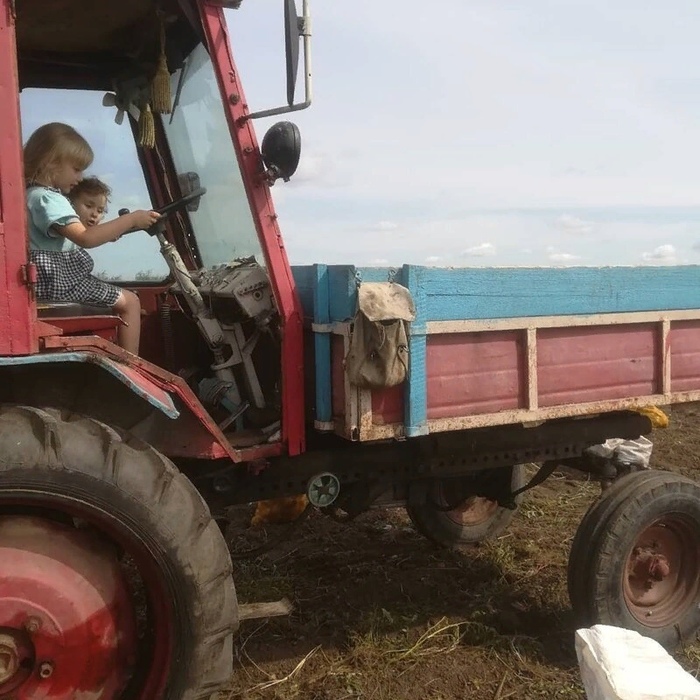 Каникулы в деревне Лето, Деревня, Каникулы, Длиннопост