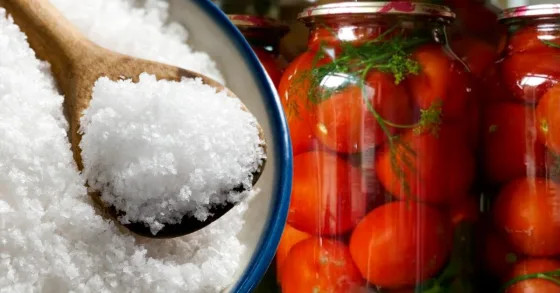 какую соль нельзя использовать для консервирования