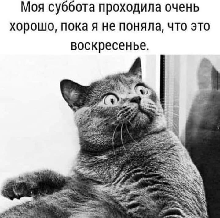 Озорные шутки и остроты, дарящие позитивные эмоции на весь день Озорные шутки и остроты, дарящие позитивные эмоции на весь день