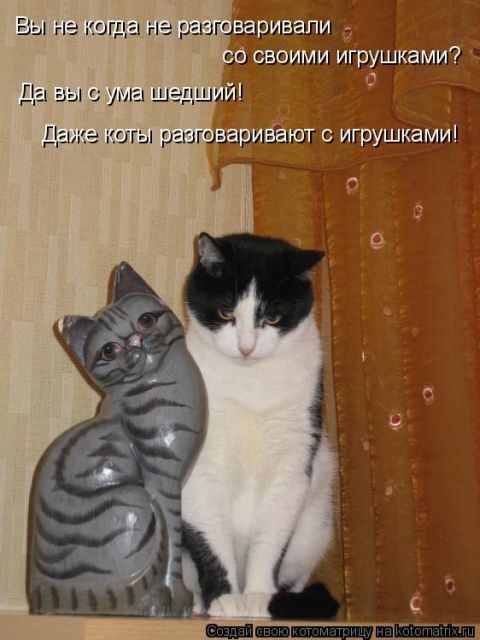 Самые смешные котоматрицы за прошедшую неделю