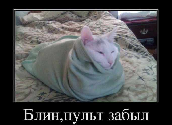 Очередная доза хорошего настроения и позитива Очередная доза хорошего настроения и позитива