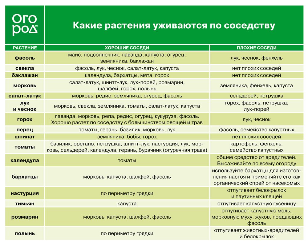 "Умные" грядки от Мэла Бартоломью – идеальное решение для маленького участка дача,сад и огород,умные грядки