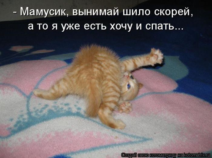 Мысли вслух :)