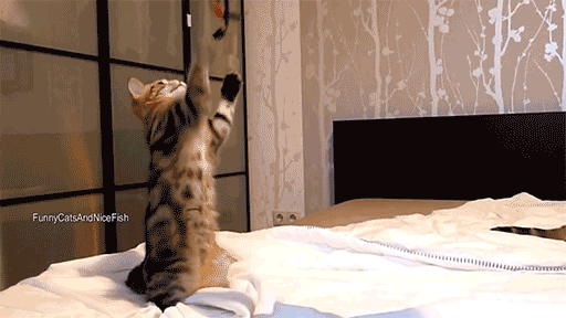 Классные и позитивные гифки из сети забавные гифки ржака