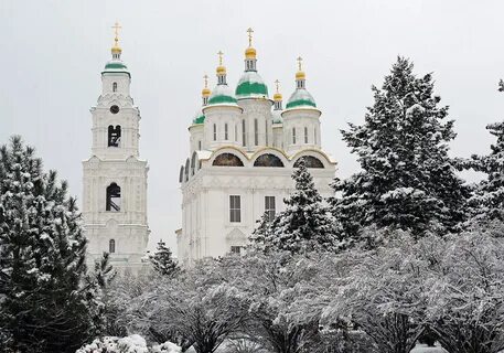 Кот, у которого три хвоста, был замечен в Ахтубинске на территории Астрахан...