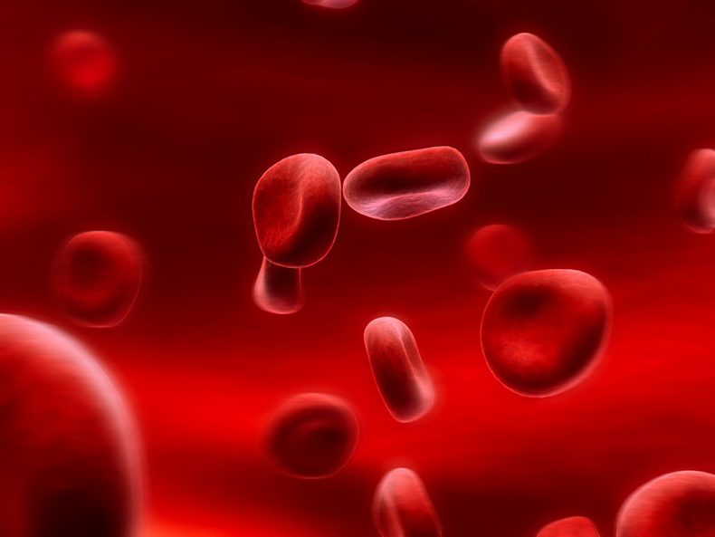 Анемия: Какие продукты нарушают всасывание железа  анемия,здоровье и медицина, кровь, малокровие