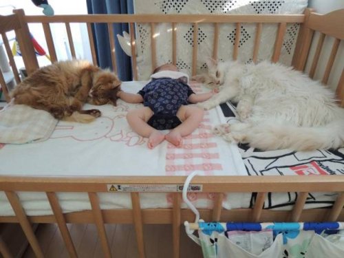 Фото-приколы Фото-приколы