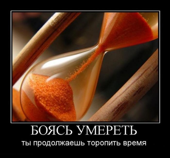 Утренние демотиваторы для хорошего настроения (11 фото)