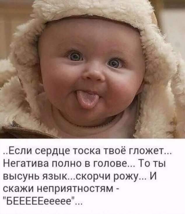 Фото малышей прикольные. Пуси пуси юмор. Подборка milayaya-baby-milayaya-baby-31500811082020-8 картинка milayaya-baby-31500811082020-8