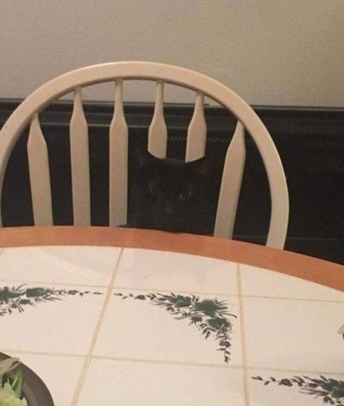 Прикольные картинки, на которые стоит взглянуть дважды Прикольные картинки, на которые стоит взглянуть дважды