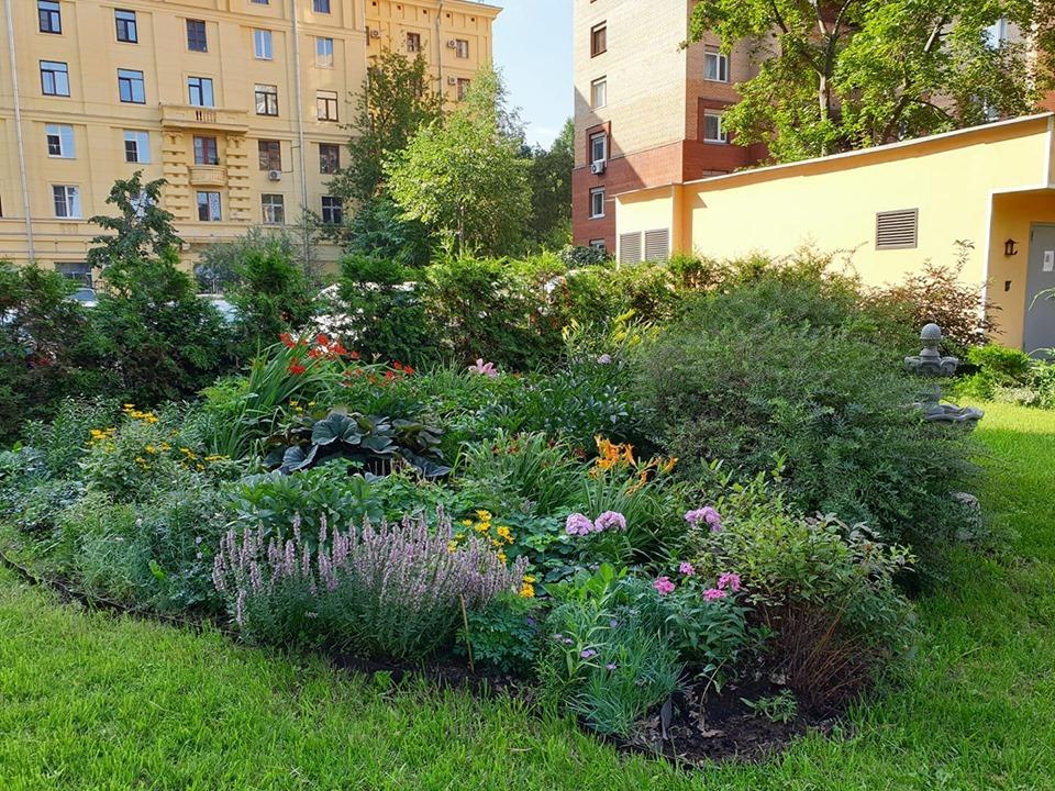 Цветник в городском дворе – советы практика двор,ландшафтный дизайн,цветник